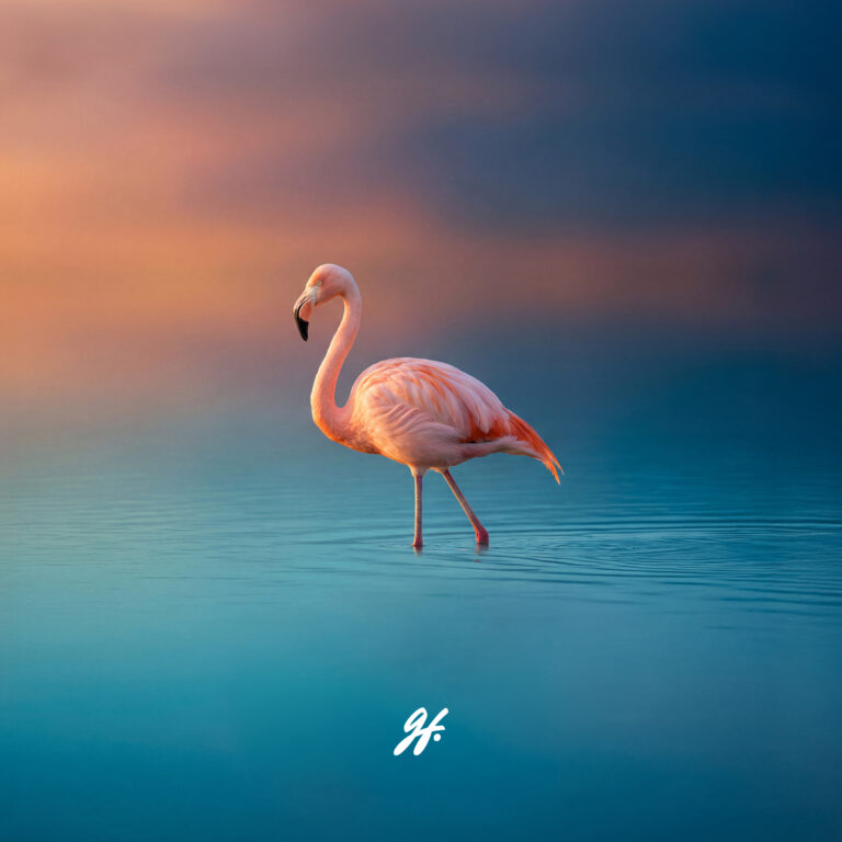 Walking On Water by gishfang